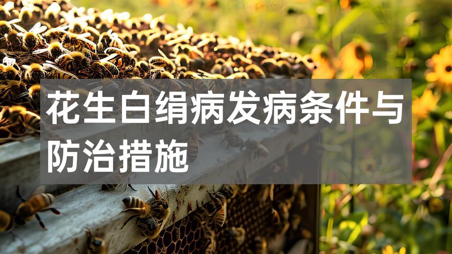花生白绢病发病条件与防治措施