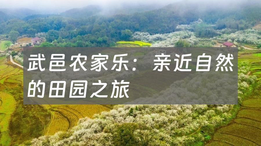 武邑农家乐:亲近自然的田园之旅