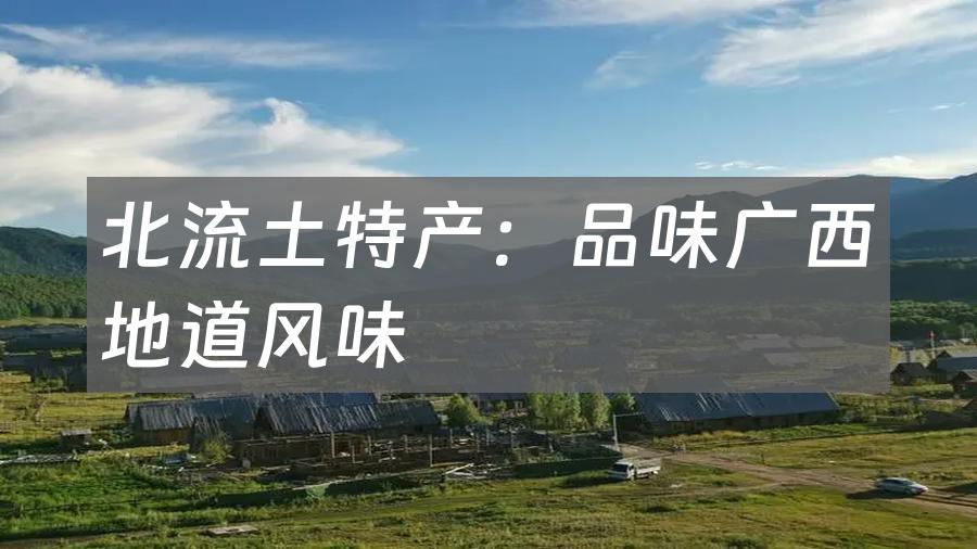 北流土特产:品味广西地道风味