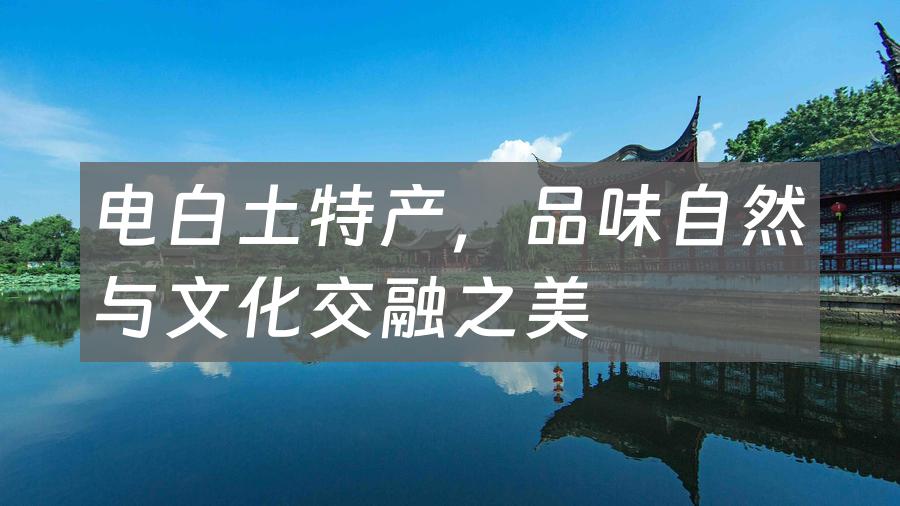 电白土特产,品味自然与文化交融之美