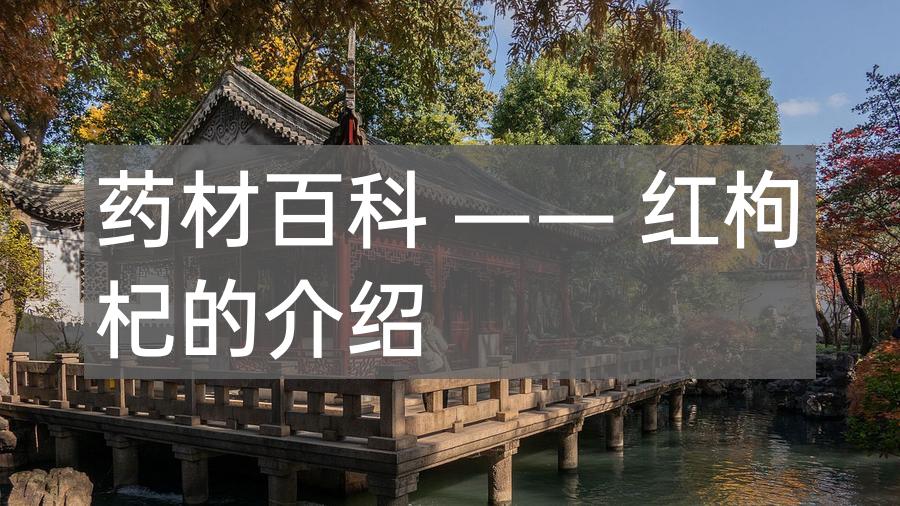 药材百科 —— 红枸杞的介绍