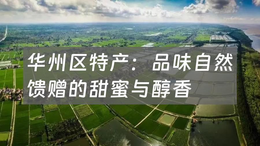 华州区特产:品味自然馈赠的甜蜜与醇香