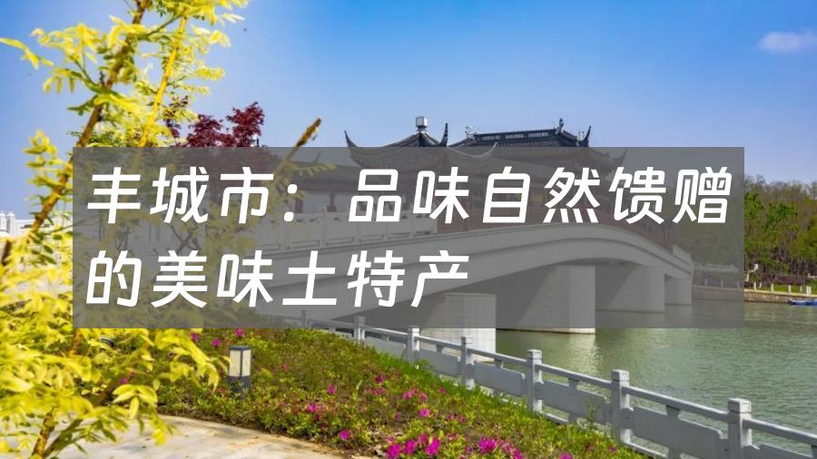 丰城市：品味自然馈赠的美味土特产