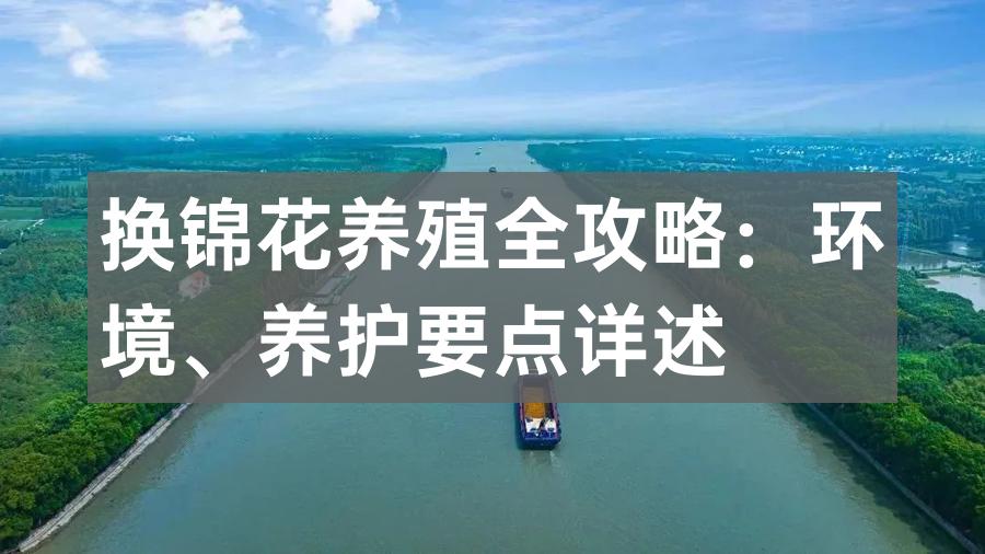 换锦花养殖全攻略:环境、养护要点详述
