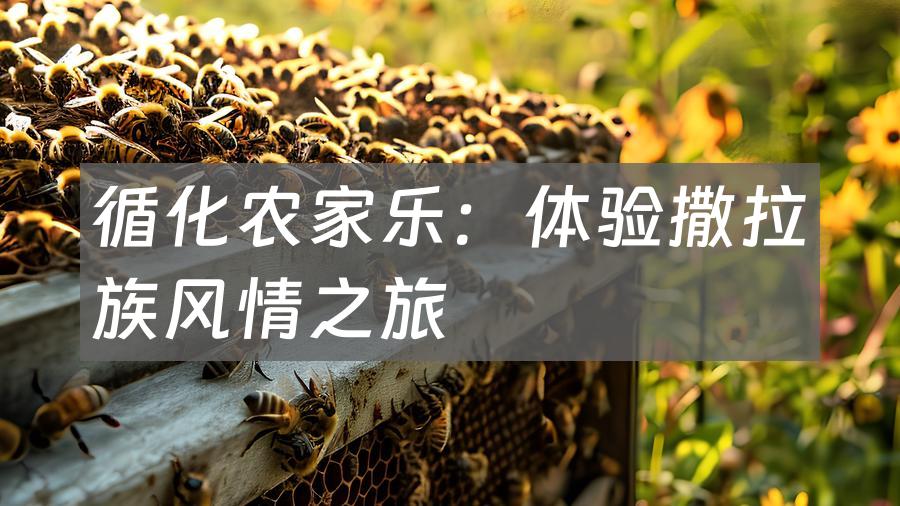 循化农家乐:体验撒拉族风情之旅