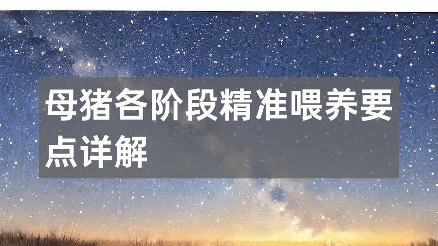 母猪各阶段精准喂养要点详解