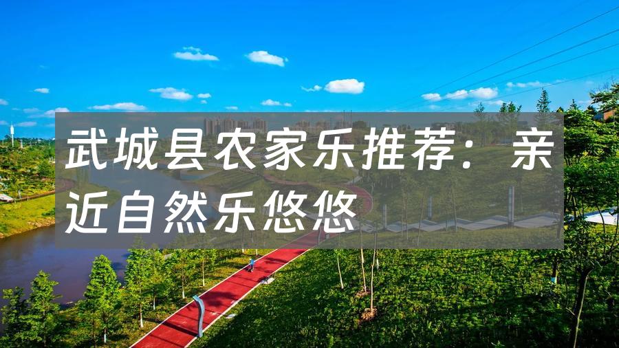 武城县农家乐推荐:亲近自然乐悠悠