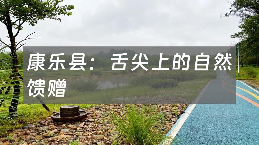 康乐县:舌尖上的自然馈赠