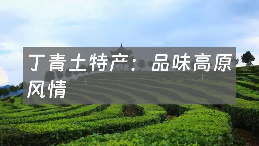 丁青土特产:品味高原风情