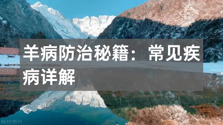 羊病防治秘籍:常见疾病详解