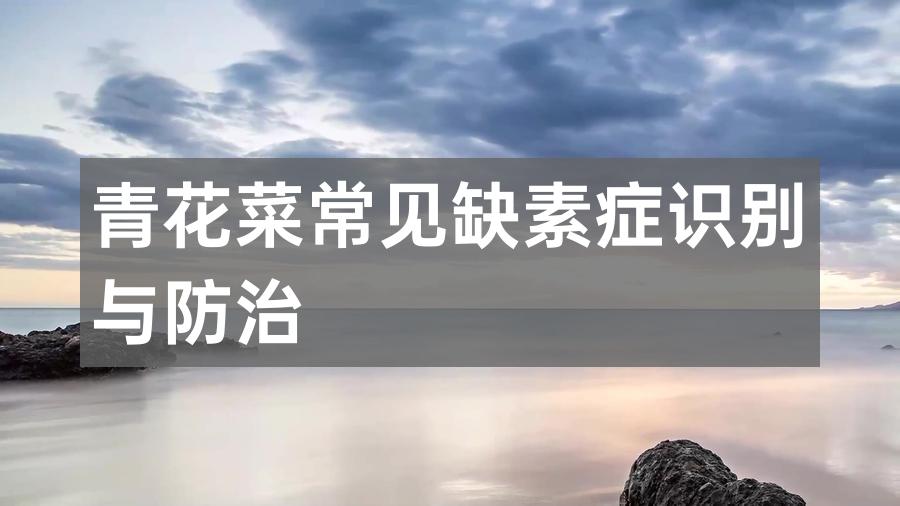 青花菜常见缺素症识别与防治
